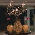 Dorna ホテル ママイア