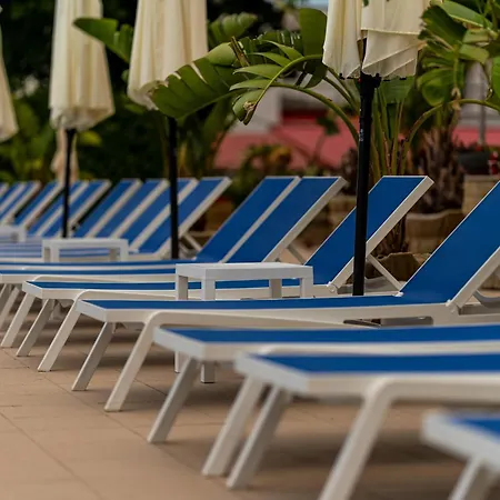 Dorna Mamaia