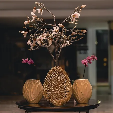 Dorna ホテル ママイア