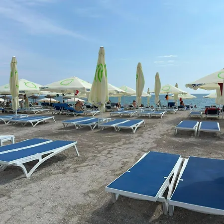 Dorna Mamaia