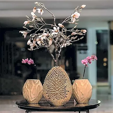 Dorna Hotell Mamaia