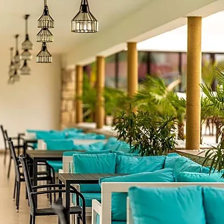 Dorna Mamaia